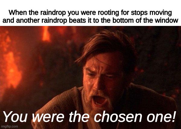 When the raindrop you were rooting for stops moving and another raindrop beats it to the bottom of the window /  You were the chosen one!