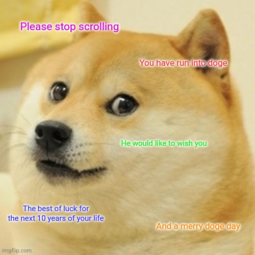 Please stop scrolling / You have run into doge / He would like to wish you / The best of luck for the next 10 years of your life / And a merry doge day