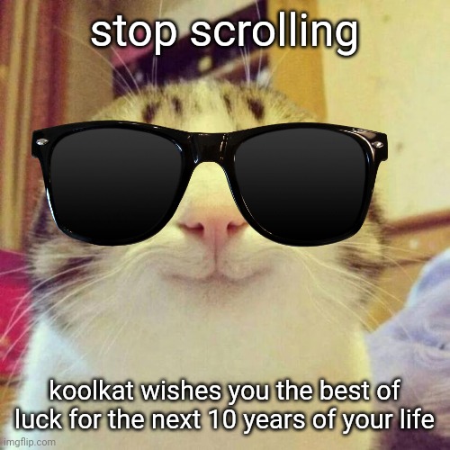 stop scrolling /  koolkat wishes you the best of luck for the next 10 years of your life