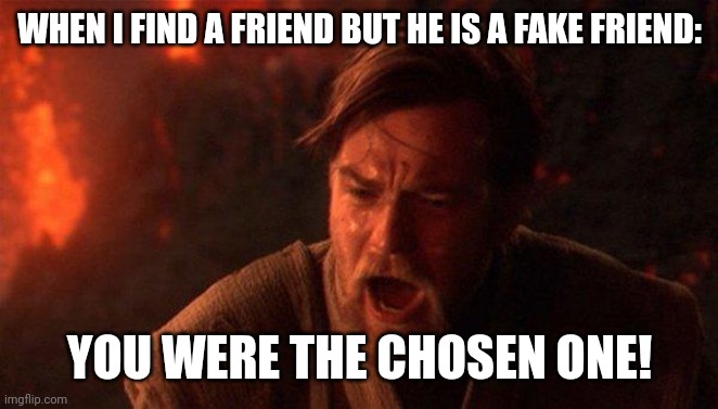WHEN I FIND A FRIEND BUT HE IS A FAKE FRIEND: /  YOU WERE THE CHOSEN ONE!