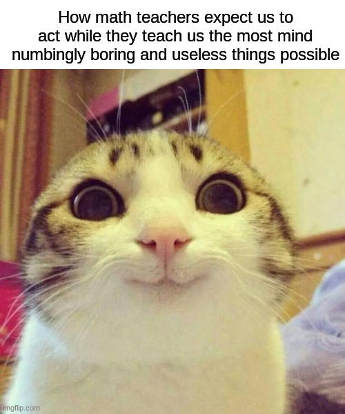 How math teachers expect us to act while they teach us the most mind numbingly boring and useless things possible