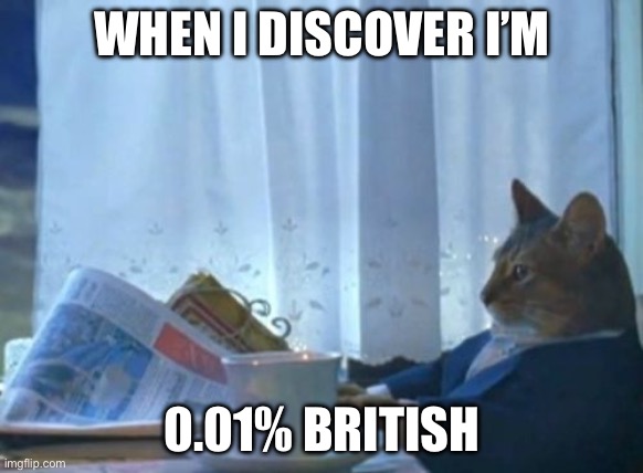 WHEN I DISCOVER I’M /  0.01% BRITISH