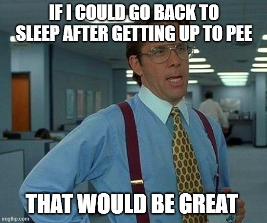IF I COULD GO BACK TO SLEEP AFTER GETTING UP TO PEE /  THAT WOULD BE GREAT