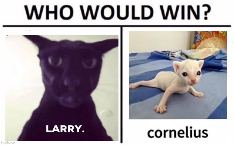 Who Would Win?