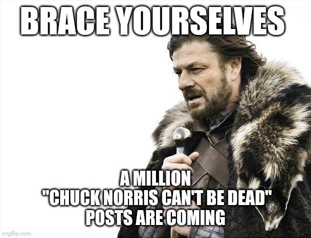 BRACE YOURSELVES /  A MILLION
 "CHUCK NORRIS CAN'T BE DEAD"
 POSTS ARE COMING