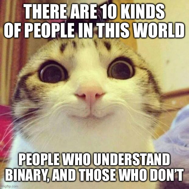 There are 10 kinds of people in this world /  People who understand binary, and those who don’t