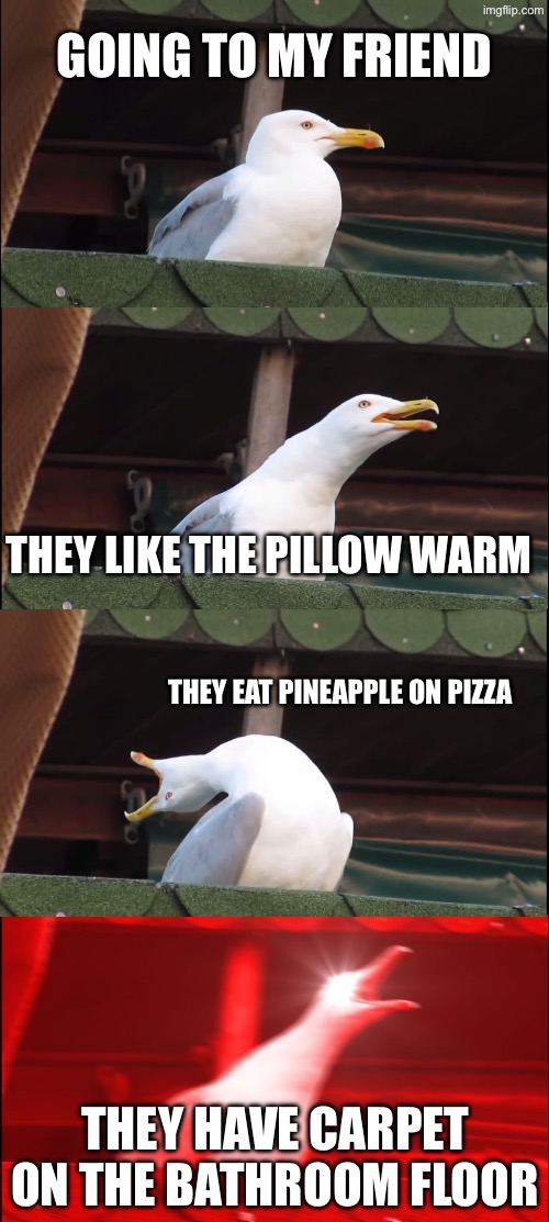 Going to my friend / they like the pillow warm / They eat pineapple on pizza / They have carpet on the bathroom floor