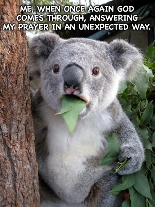 Me, when once again God comes through, answering my prayer in an unexpected way.