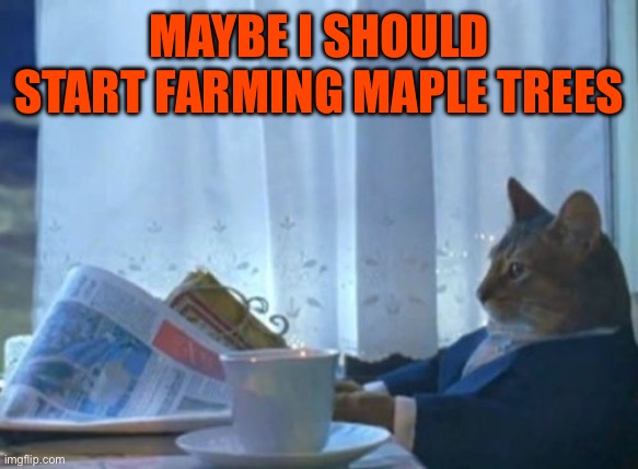 Maybe I should start farming maple trees