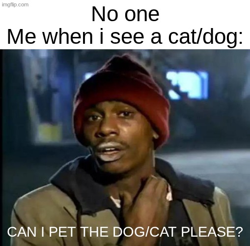 No one
Me when i see a cat/dog: /  Can i pet the dog/cat please?