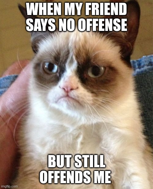 when my friend says no offense /  but still offends me