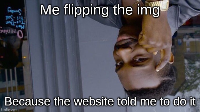 Me flipping the img /  Because the website told me to do it