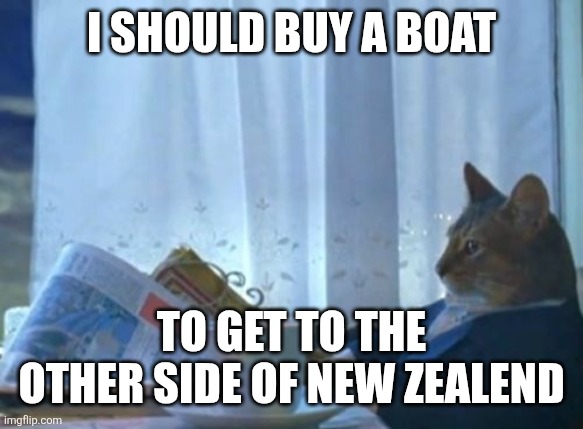 I should buy a boat /  To get to the other side of new zealend