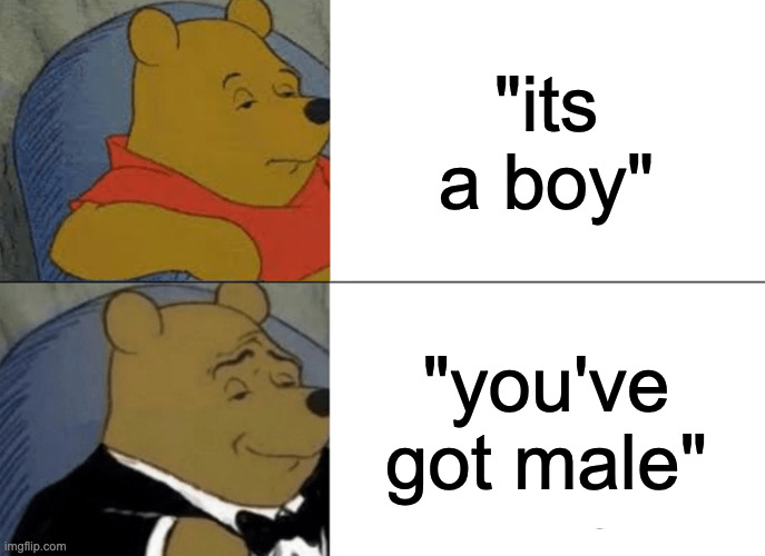 "its a boy" /  "you've got male"