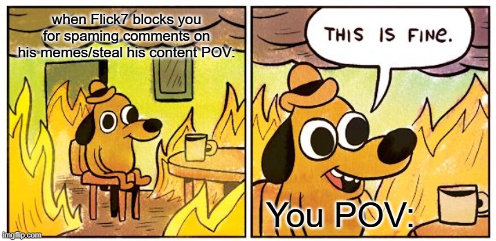 when Flick7 blocks you for spaming comments on his memes/steal his content POV: / You POV: