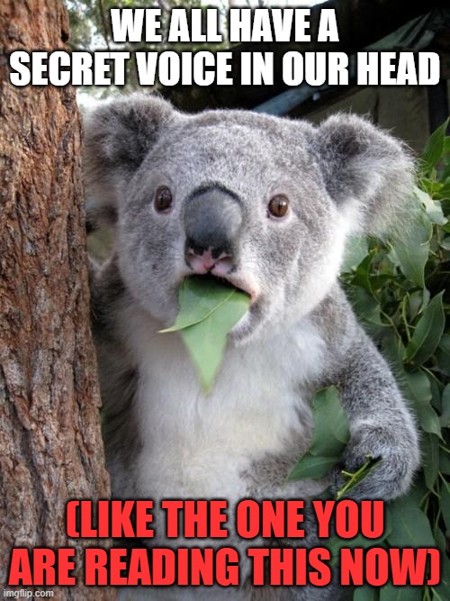 We all have a secret voice in our head /  (like the one you are reading this now)