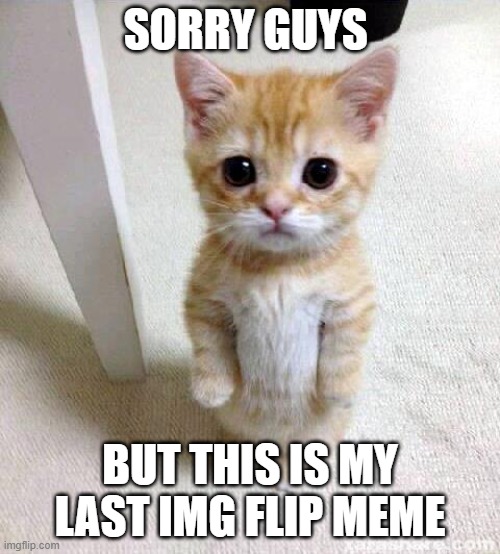 sorry guys /  but this is my last img flip meme