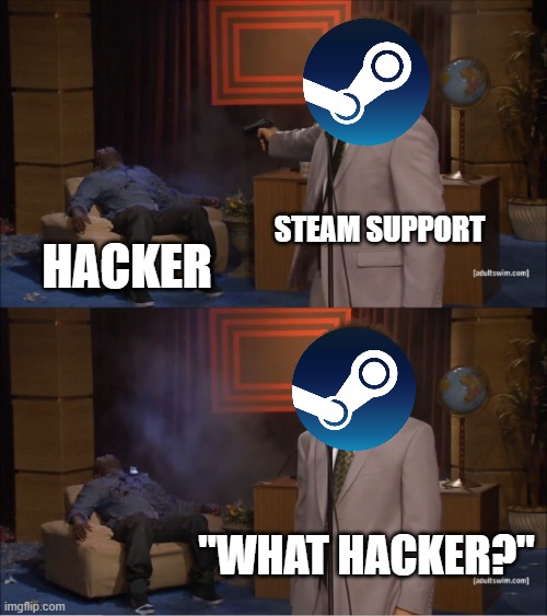 Steam support /  hacker /  "What hacker?"