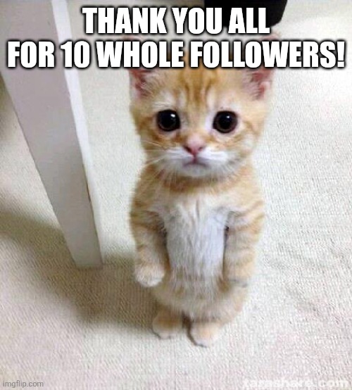 Thank you all for 10 whole followers!