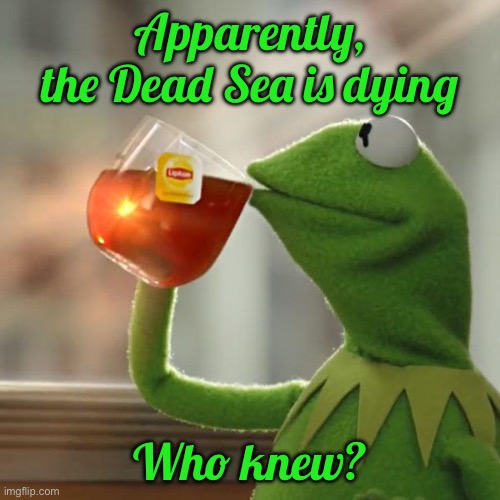 Apparently, the Dead Sea is dying /  Who knew?