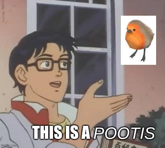 pootis /  This is a