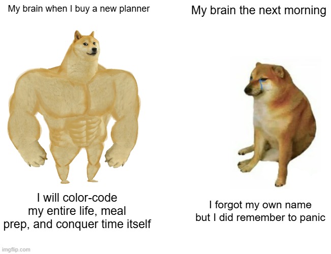 My brain when I buy a new planner / My brain the next morning / I will color-code my entire life, meal prep, and conquer time itself / I forgot my own name but I did remember to panic