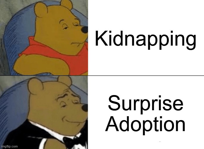 Kidnapping /  Surprise Adoption