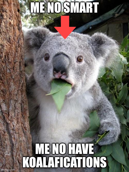me no smart /  me no have koalafications