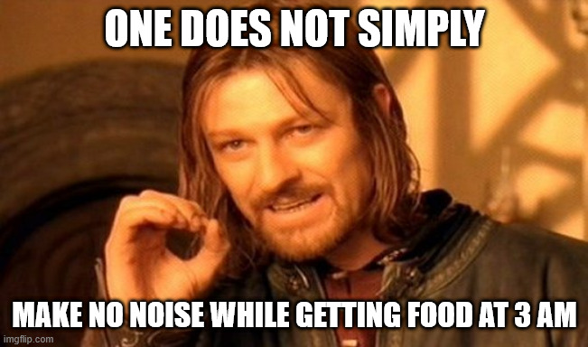 One Does not simply /  make no noise while getting food at 3 AM