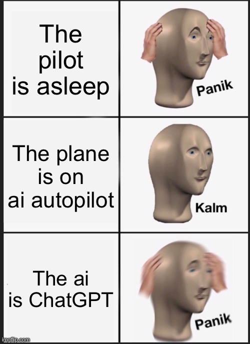 The pilot is asleep /  The plane is on ai autopilot /  The ai is ChatGPT