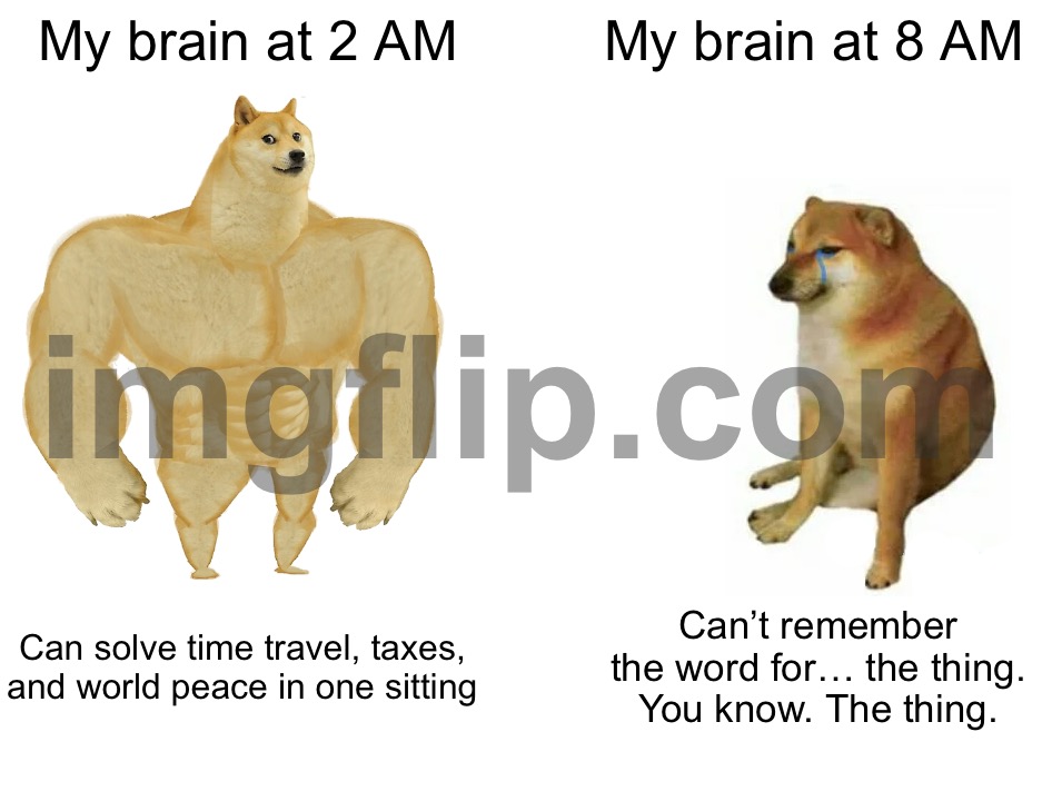 My brain at 2 AM / My brain at 8 AM / Can solve time travel, taxes, and world peace in one sitting / Can’t remember the word for… the thing. You know. The thing.