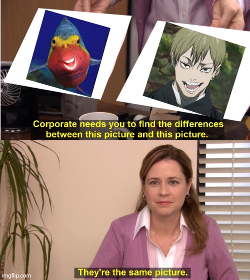 They're The Same Picture