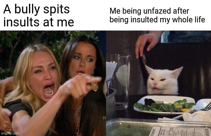 A bully spits insults at me /  Me being unfazed after being insulted my whole life