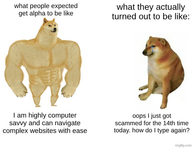 what people expected get alpha to be like / what they actually turned out to be like: / I am highly computer savvy and can navigate complex websites with ease / oops I just got scammed for the 14th time today. how do I type again?