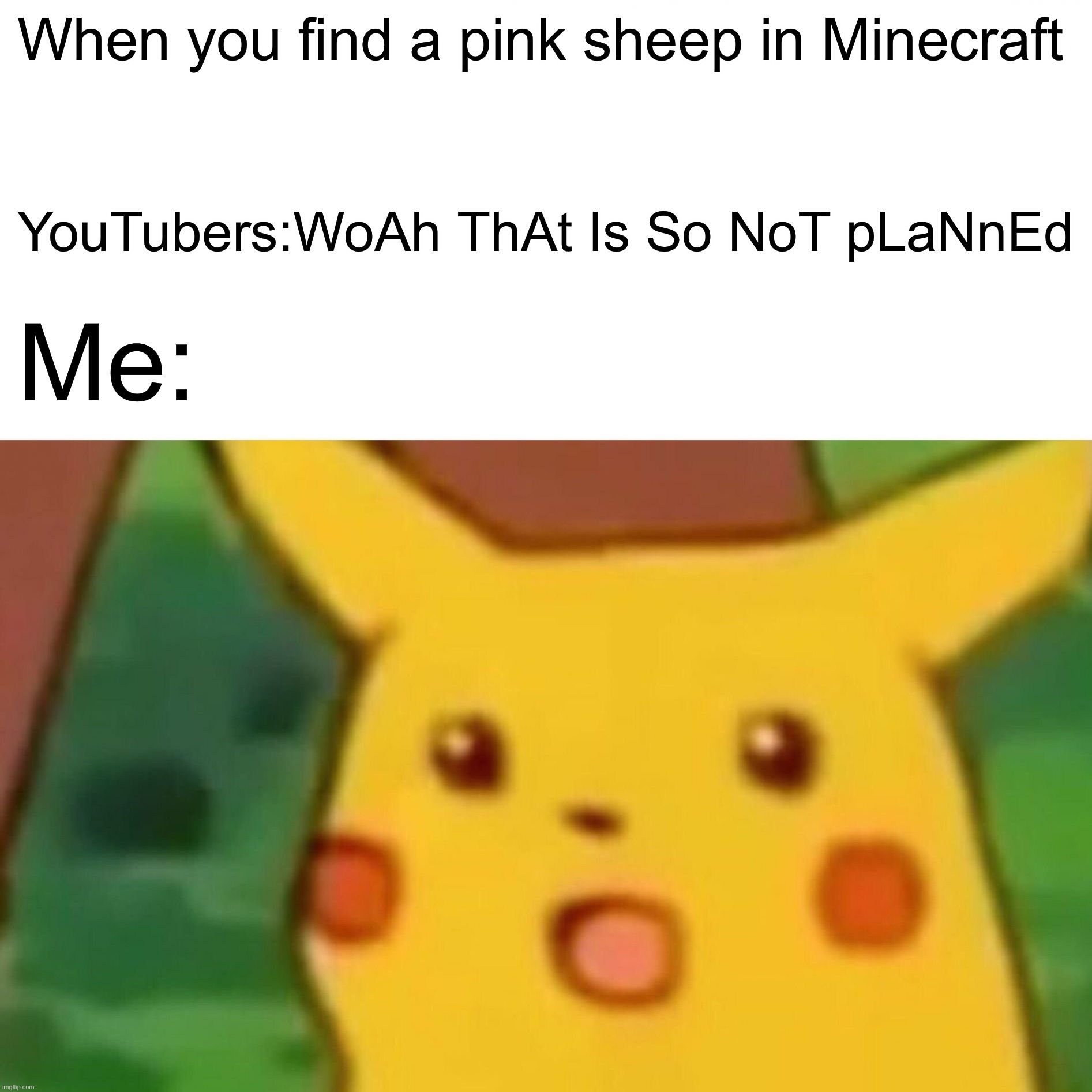 When you find a pink sheep in Minecraft / YouTubers:WoAh ThAt Is So NoT pLaNnEd / Me: